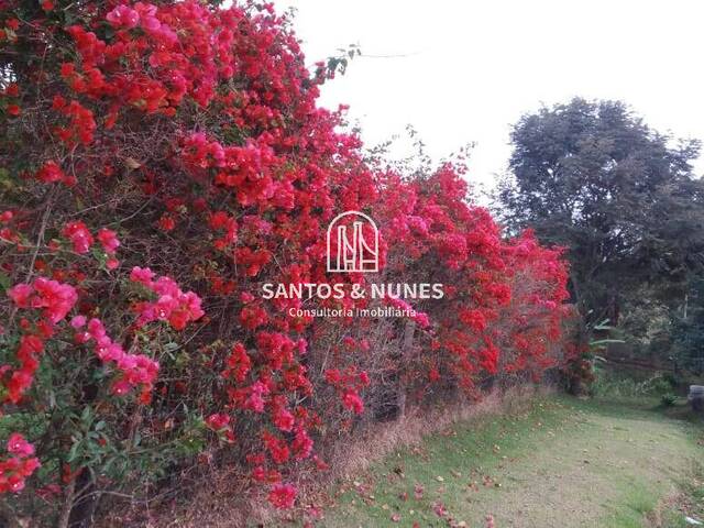 #1389 - Sítio para Venda em Taubaté - SP - 2