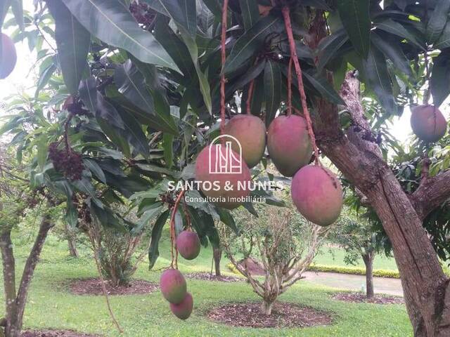 Sítio para Venda em Taubaté - 5